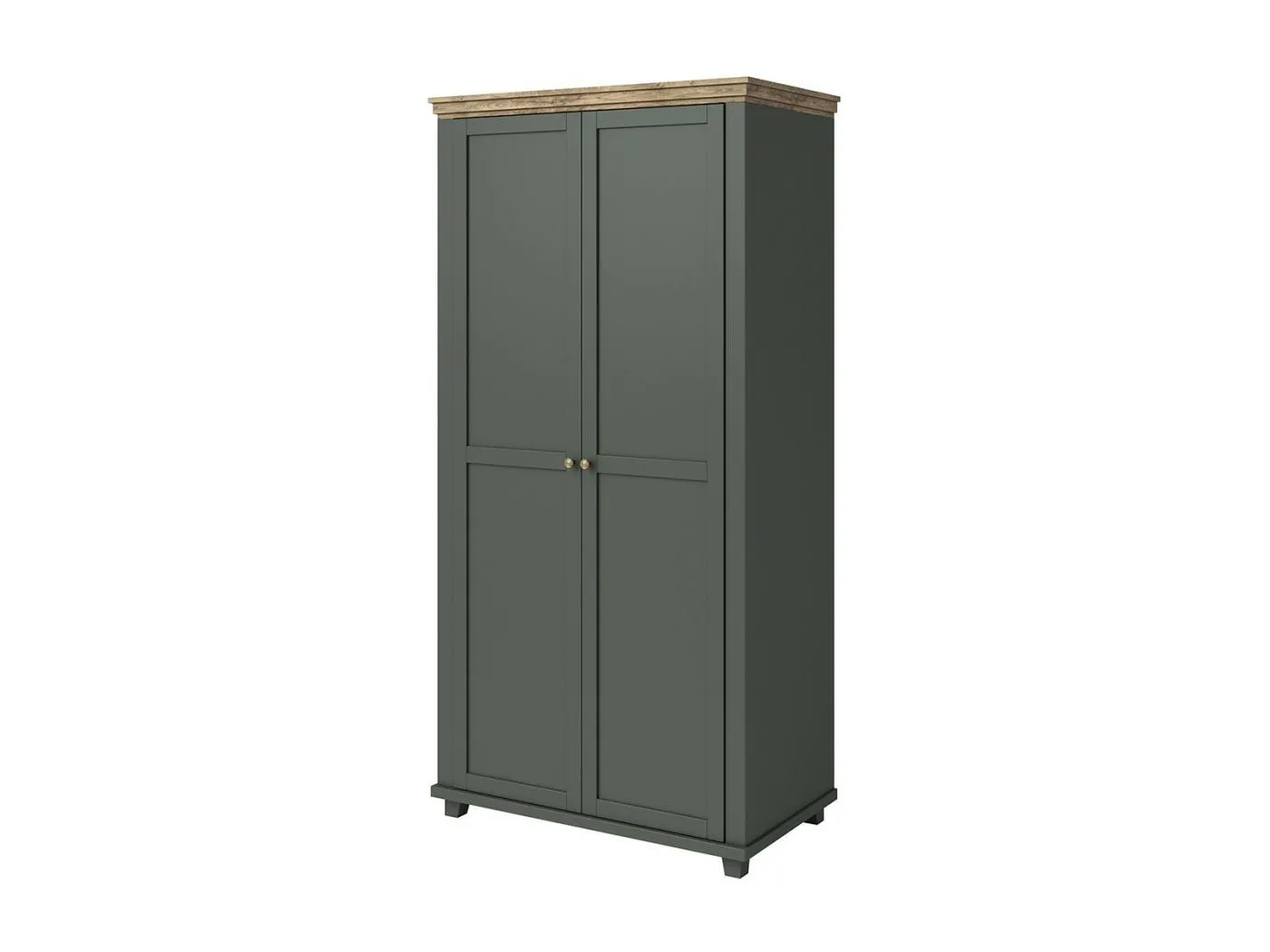 Schrank 110x220 mit 2 Türen. Farbe Grün und Eiche. Kollektion ASSIA.