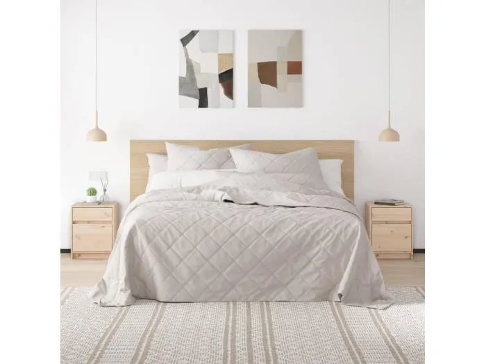 2er-Set Nachtschränke Nachttische 40x31x50 cm Massivholz Kiefer -RN74953