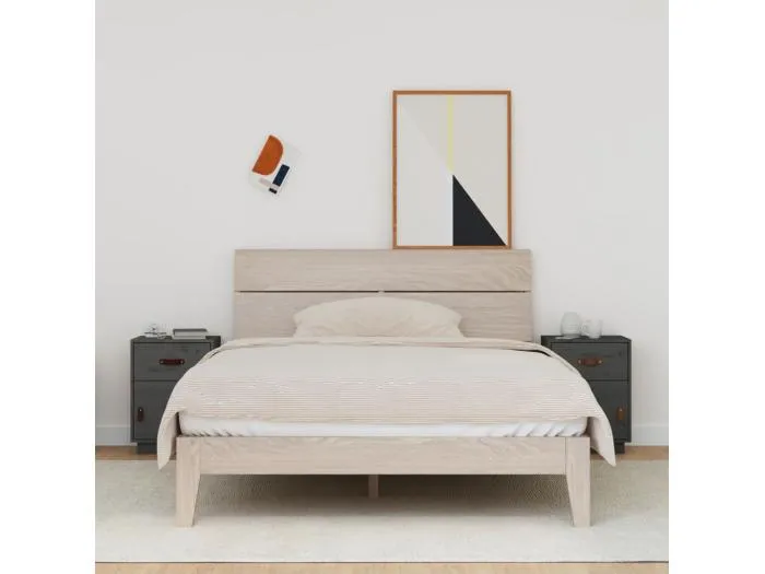 2er-Set Nachttische Nachtschrank Grau 40x34x55 cm Massivholz Kiefer -RN85985