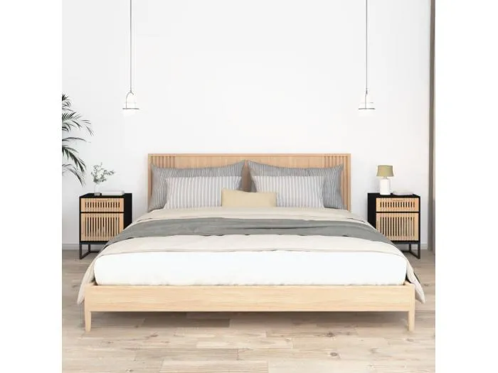 Nachttische 2 Stk. Schwarz 40x30x55,5 cm Holzwerkstoff & Eisen