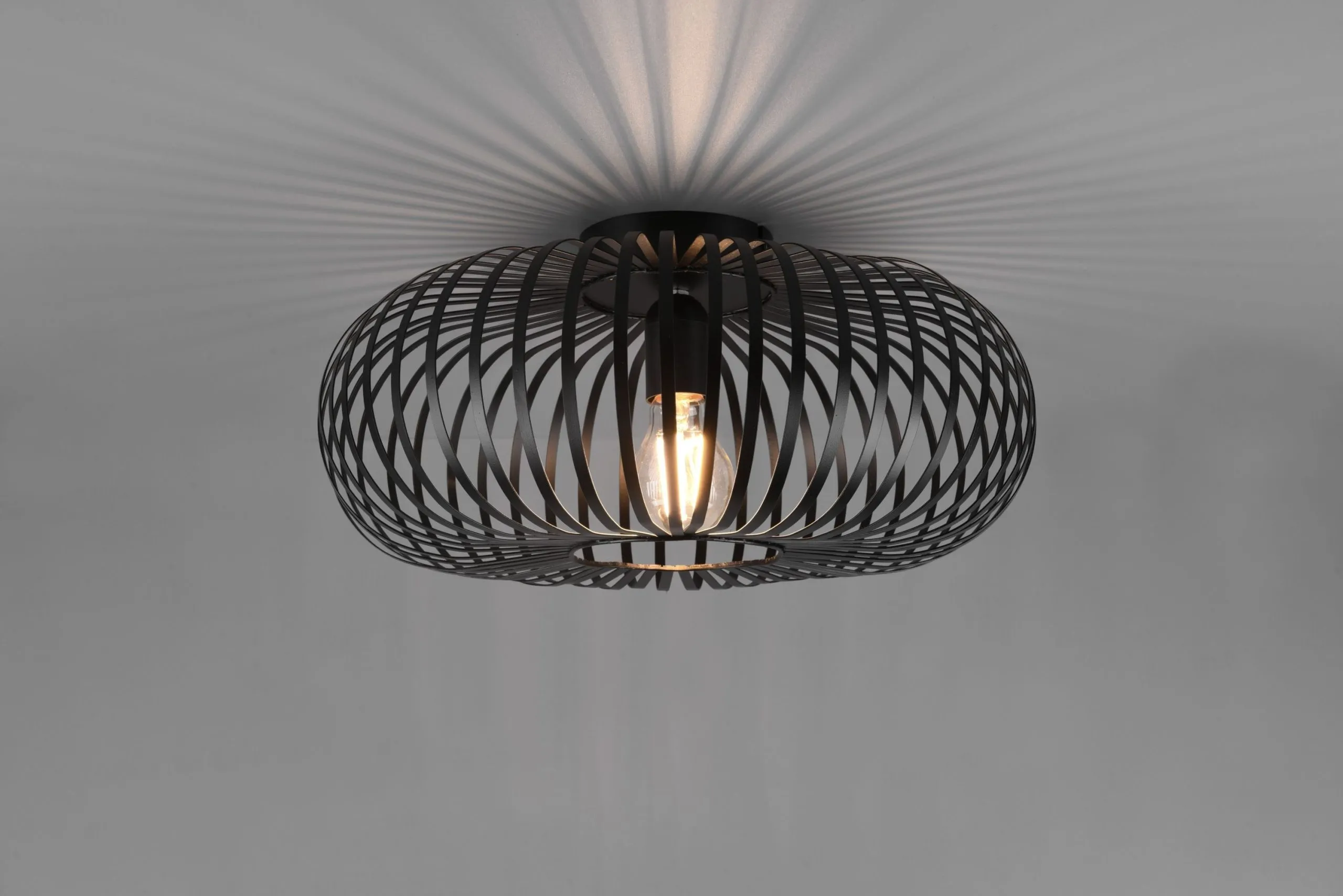 Deckenleuchte JOHANN 456923