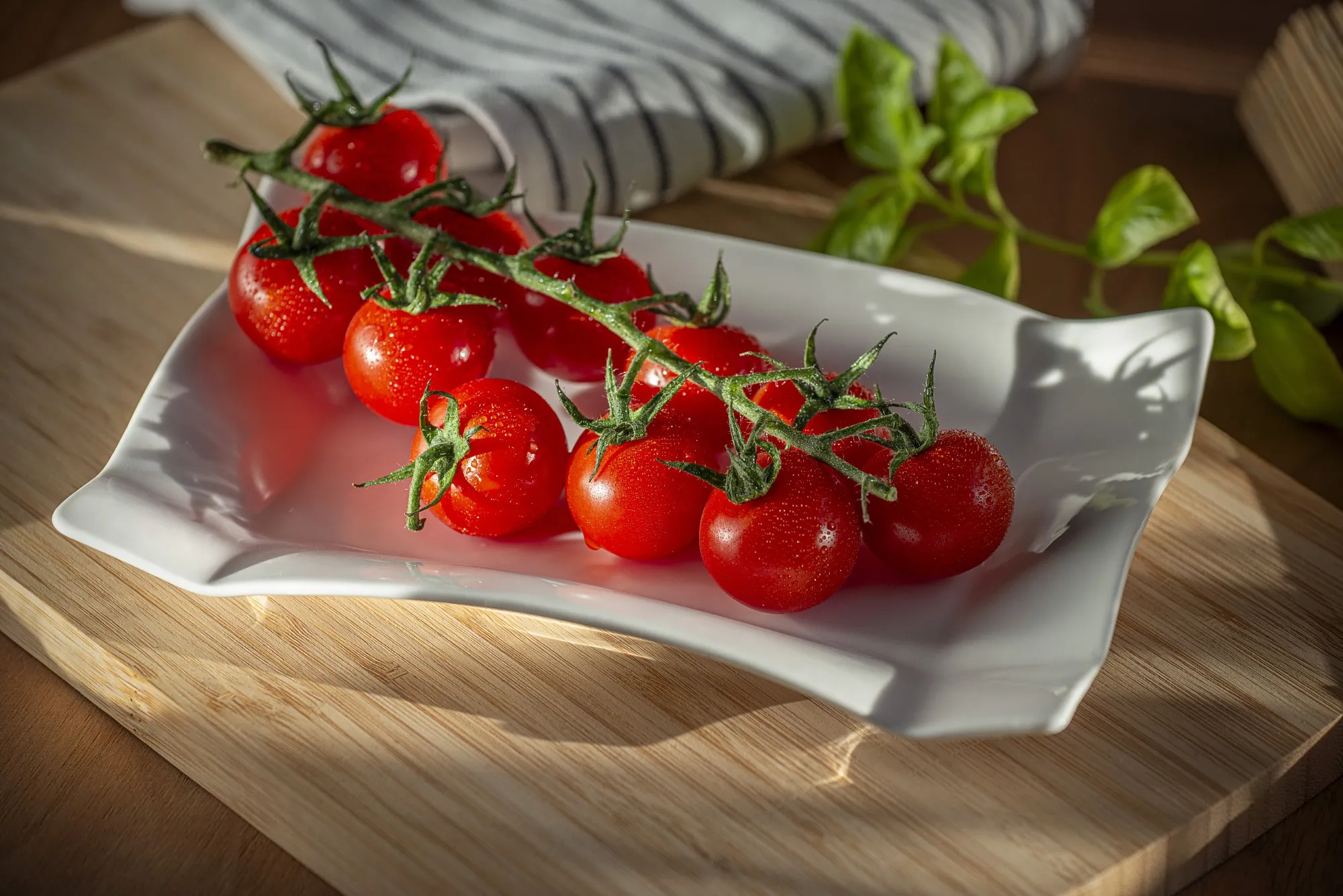 Schale 'Folder', weiß, B 19 cm, L 12 cm, H 3 cm