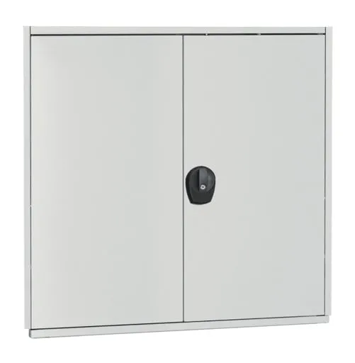 Flügeltür für Schulte Fachbodenregale mit Stecksystem | HxB 100x100cm | gleichschließend | Lichtgrau