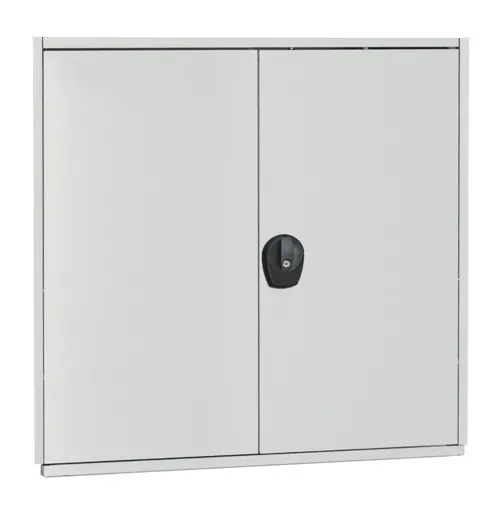 Flügeltür für Schulte Fachbodenregale mit Stecksystem | HxB 100x100cm | verschiedenschließend | Lichtgrau