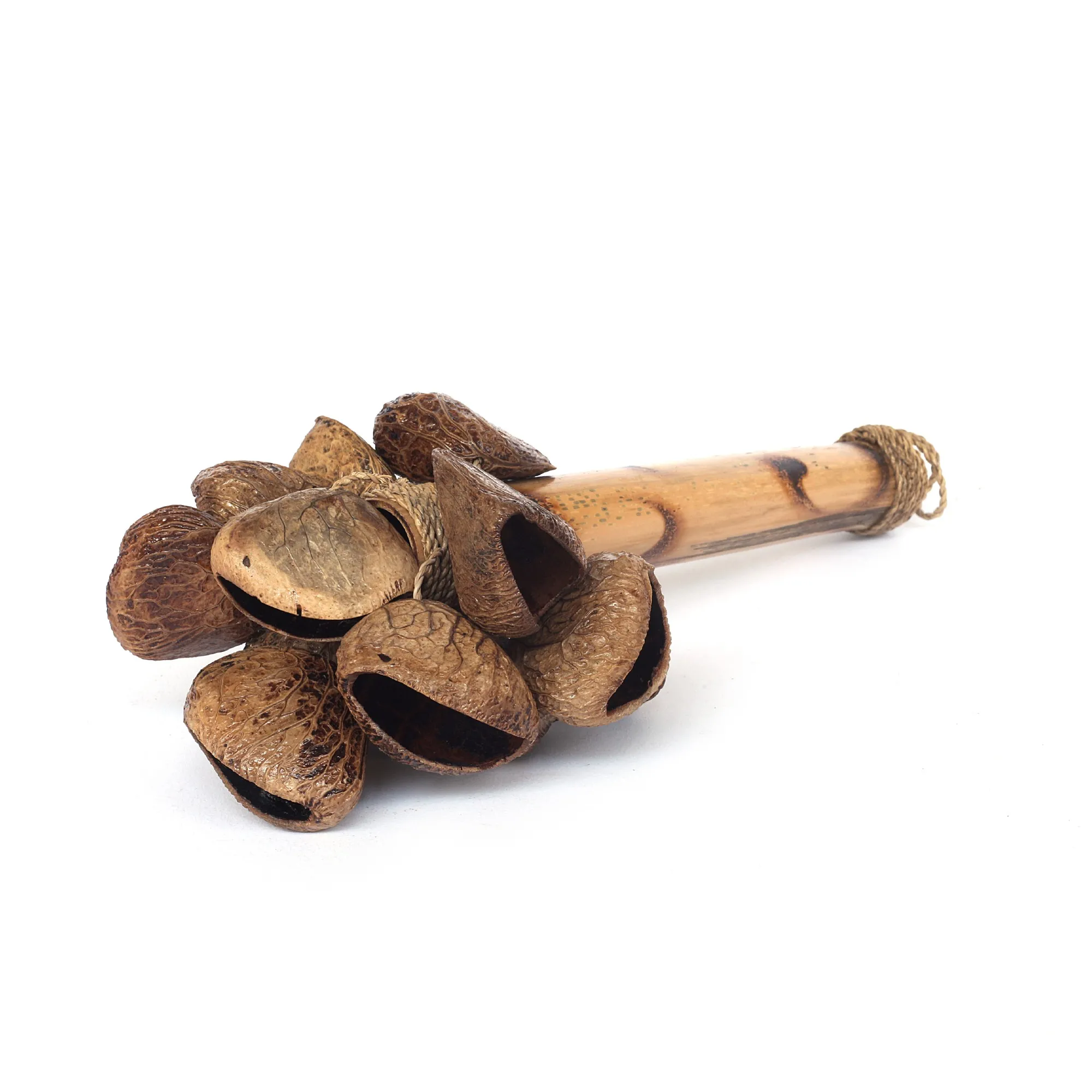 Pangi-Samen-Rassel, natur, Ø 10 cm, H 24 cm