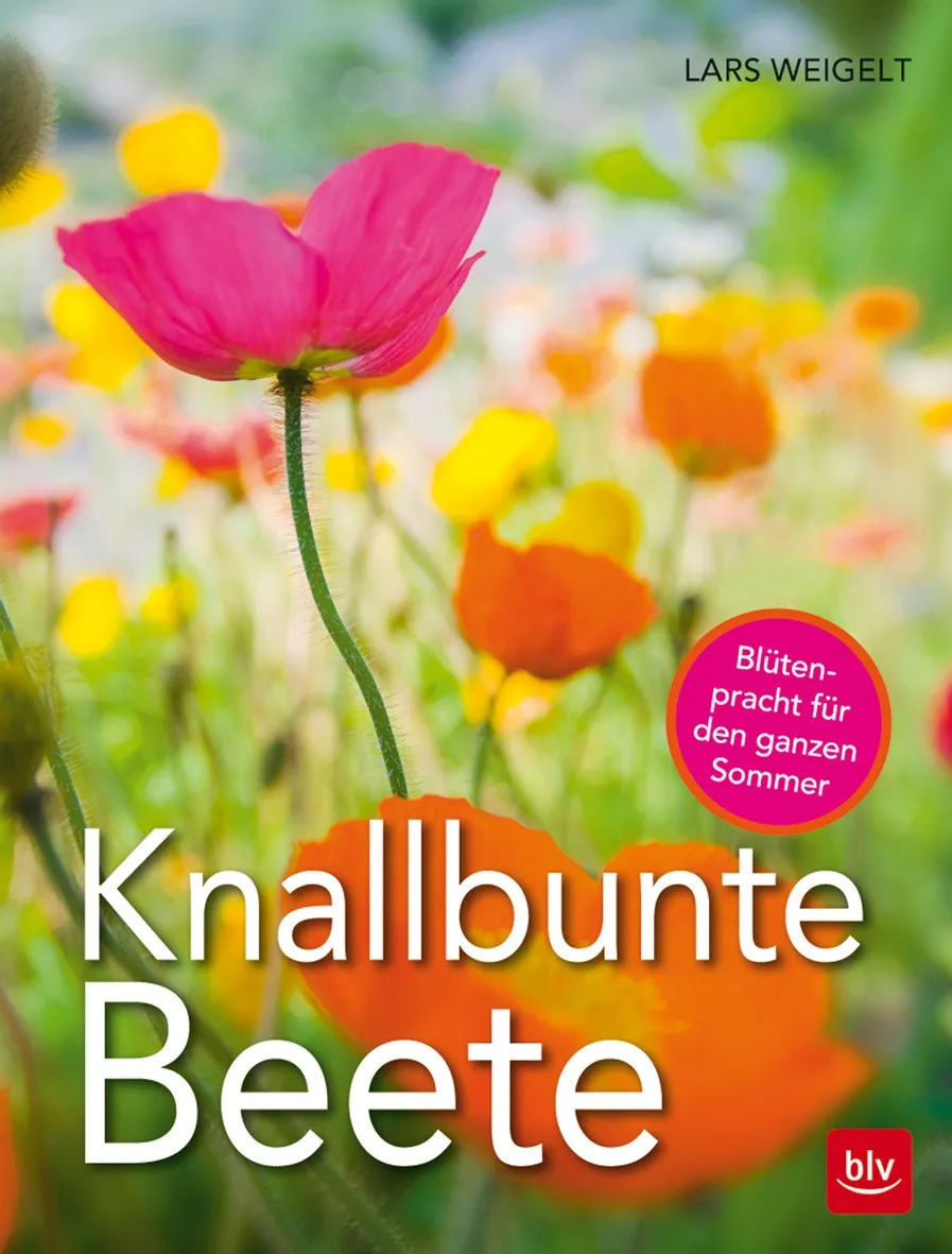 Buch 'Knallbunte Beete'