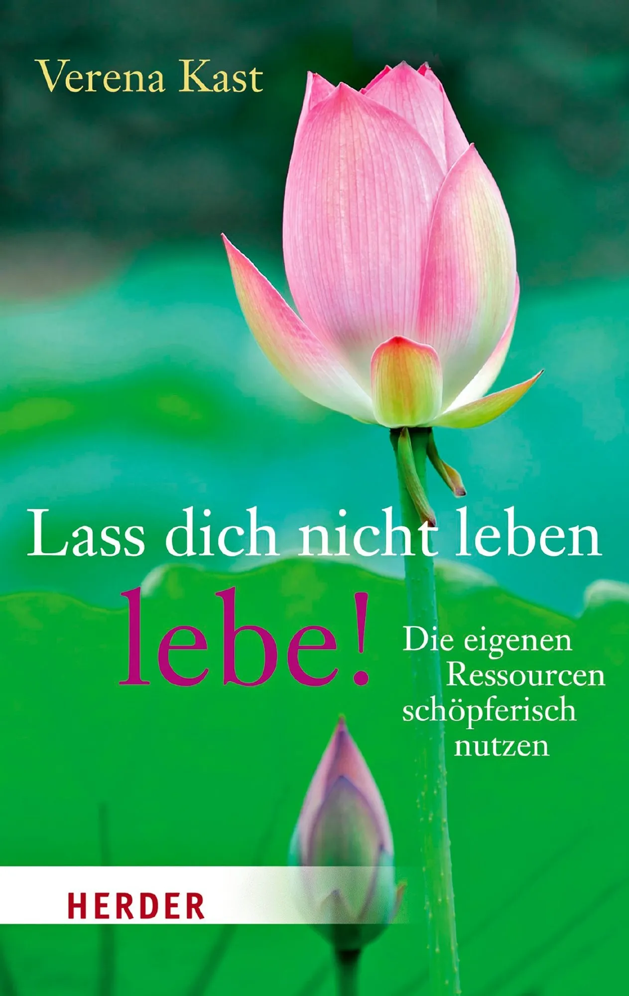 Buch 'Lass dich nicht leben-lebe!'