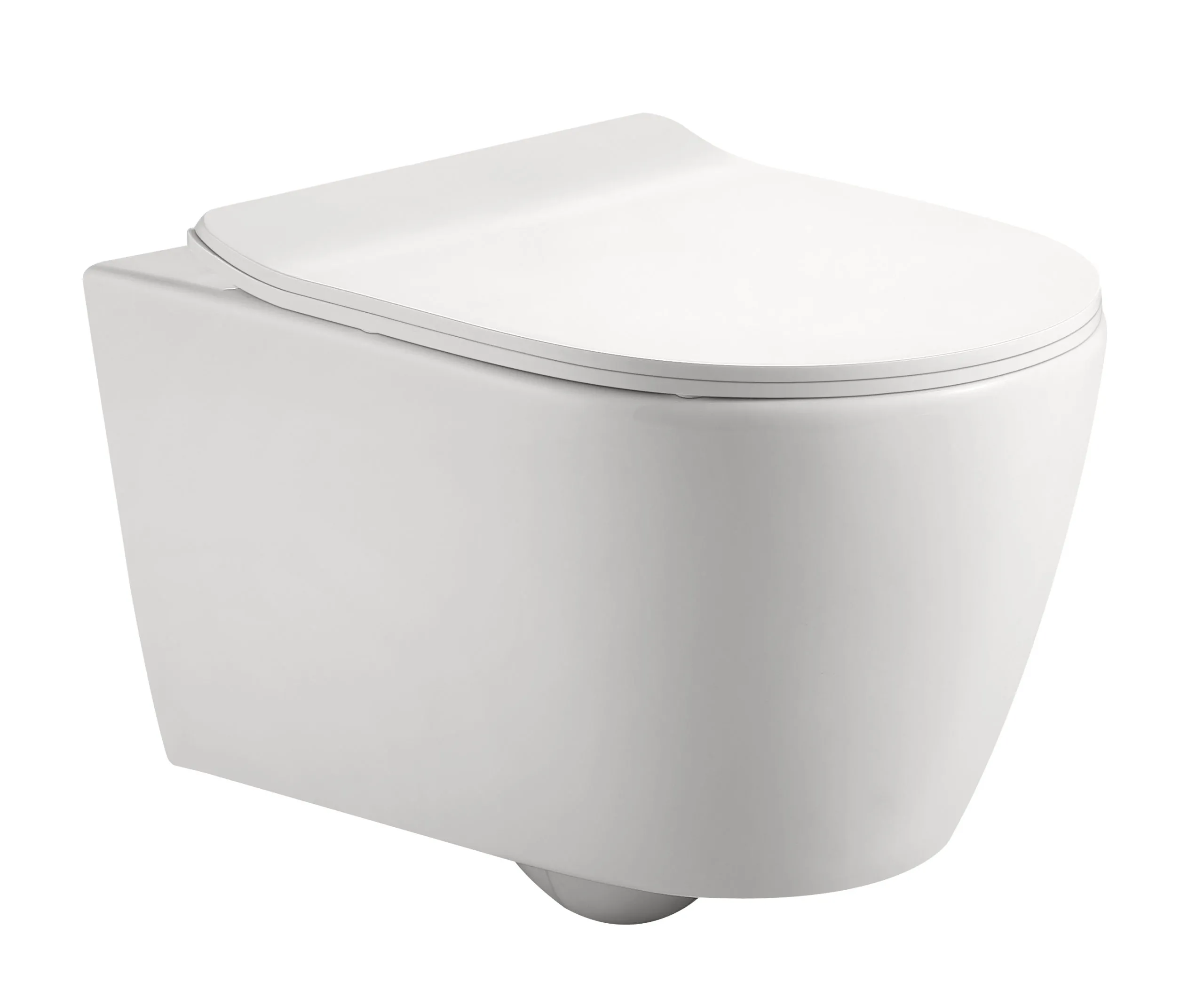 Wand-Tiefspül-WC „AqvaCeramica“