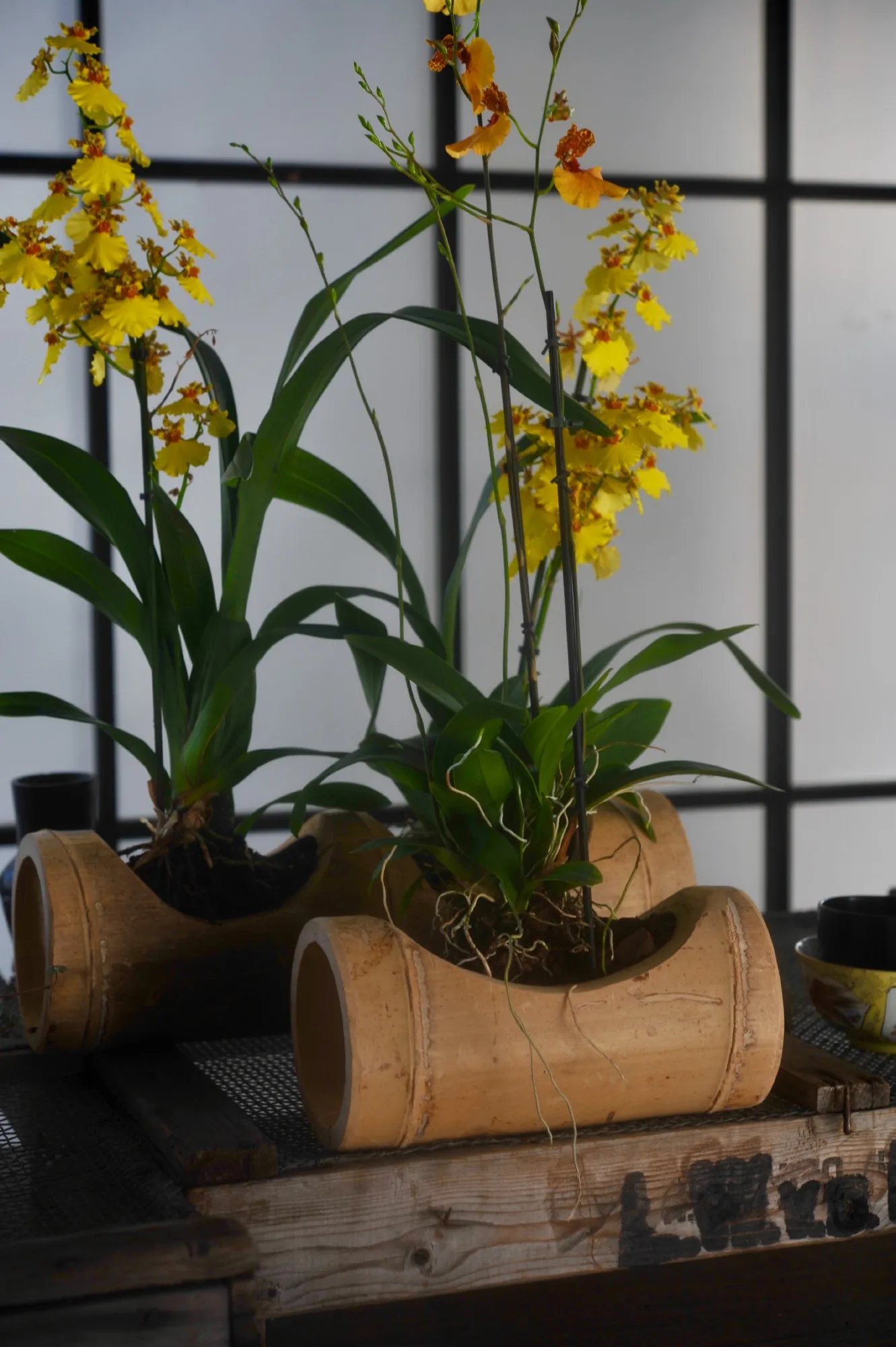 1er Bambusvase, T 24 cm, B 13 cm, H 12 cm