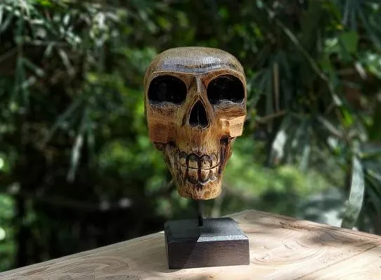 Schädel auf Ständer, Holz, T 12 cm, B 12 cm, H 30 cm