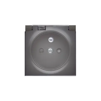 Abdeckung für Einzelsteckdose mit Schutzart IP44 - Klappe transparent anthrazit DGZ1BUZP/48A