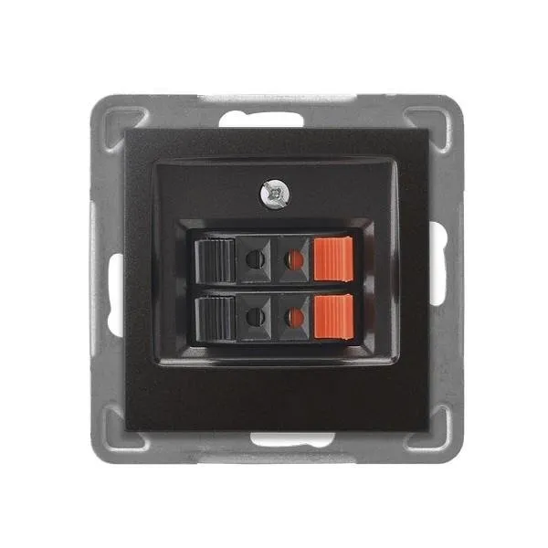 Lautsprecher Steckdose 2-fach Anthrazit Ospel Impression GG-2Y/m/50