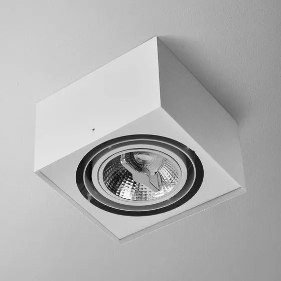 Oprawa natynkowa SQUARES 111x1 AR111 12V AC G53 Aqform