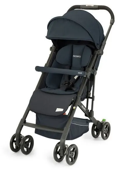 Recaro Easylife Elite 2 Kinderwagen Prime Mat Schwarz