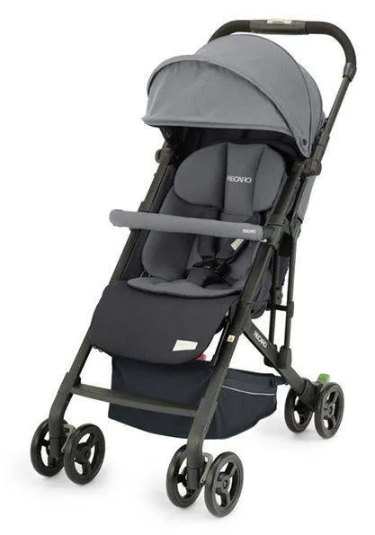 Recaro Easylife Elite 2 Kinderwagen Prime Silent Grau