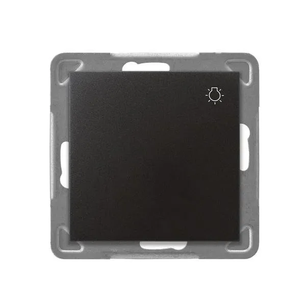 Taster "Licht" Anthrazit Ospel Impression ŁP-5Y/m/50