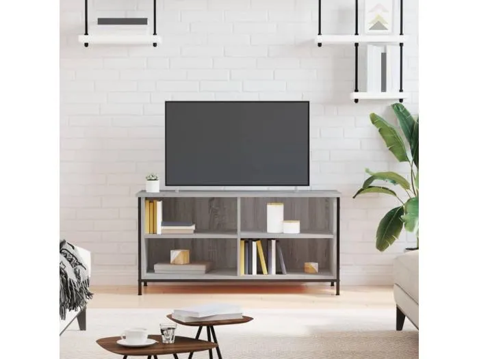 TV-Schrank Grau Sonoma 100x40x50 cm Holzwerkstoff