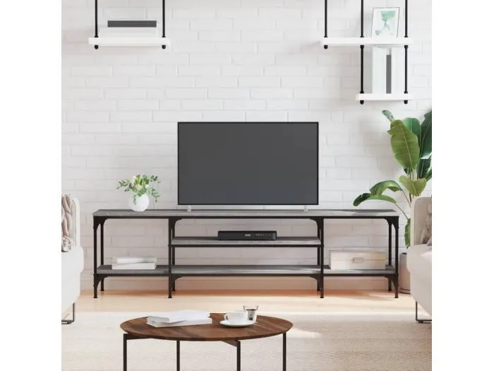 TV-Schrank Grau Sonoma 161x35x45 cm Holzwerkstoff & Eisen