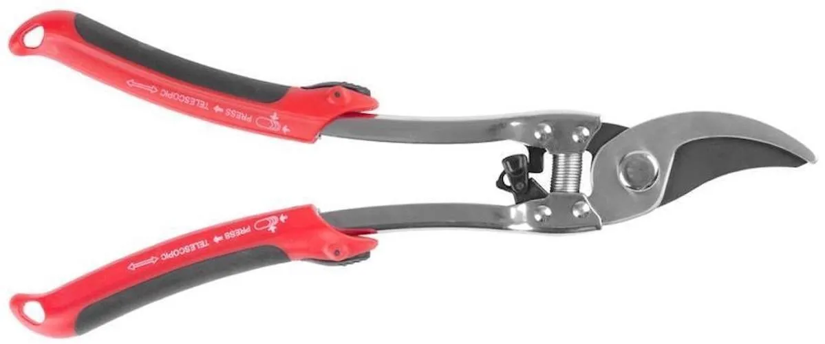 PROREGAL Gartenschere + Mini Flöhe 225-290mm Strandprofi, Teleskopeinkauf